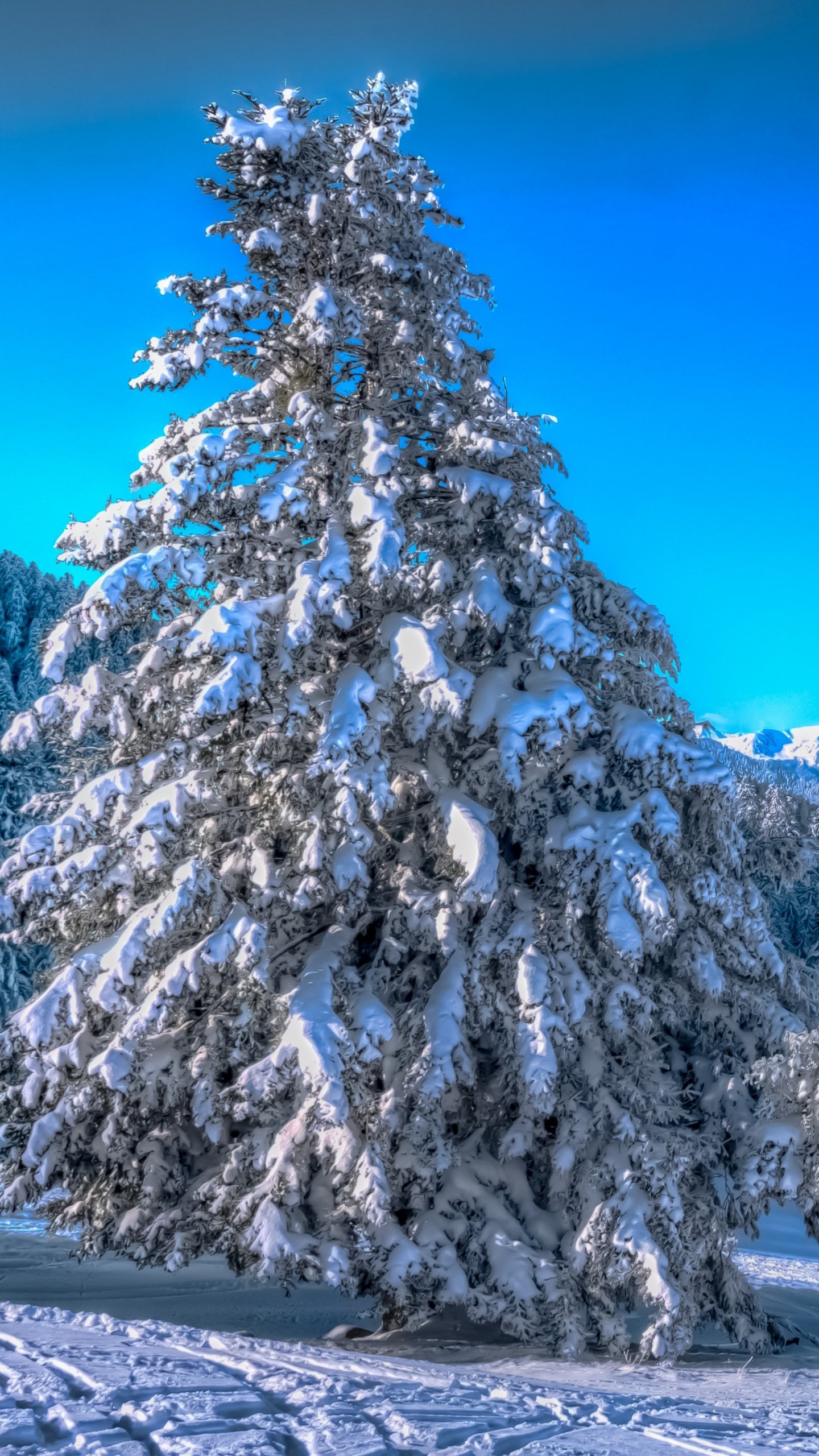 Montaña Cubierta de Nieve Bajo un Cielo Azul Durante el Día. Wallpaper in 1440x2560 Resolution