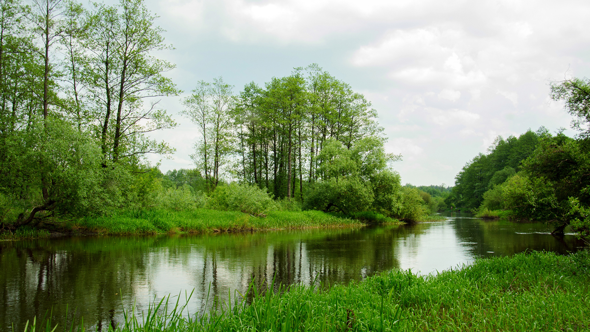 Green Trees Beside River Under White Clouds During Daytime. Wallpaper in 1920x1080 Resolution
