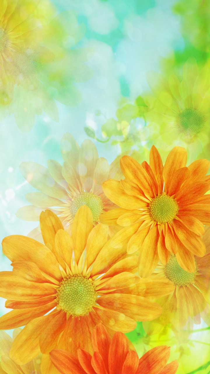 Yellow and Pink Flower Painting. Wallpaper in 720x1280 Resolution