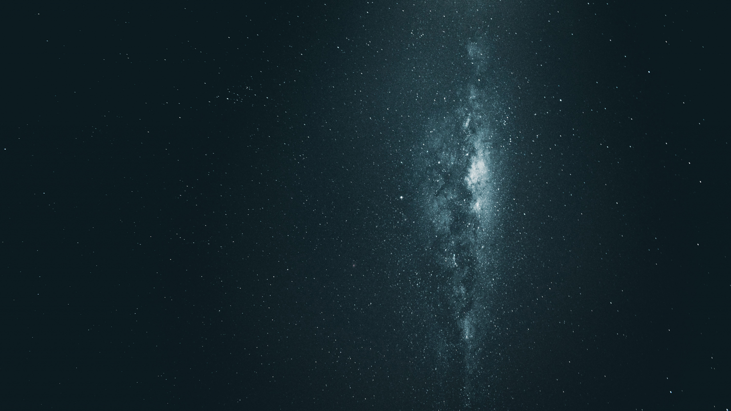 Noche Estrellada en Blanco y Negro. Wallpaper in 2560x1440 Resolution