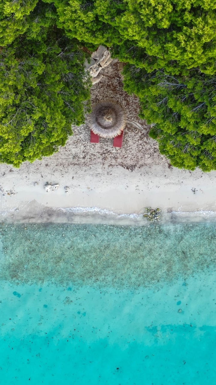 水资源, 绿色的, 水道, 草, 休闲 壁纸 720x1280 允许