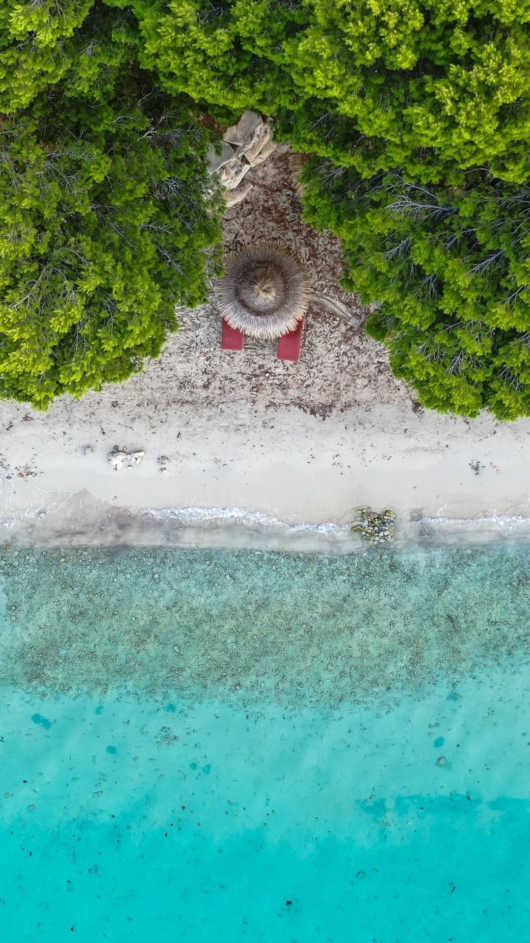 Water, Beach, Water Resources, Green, Watercourse. Wallpaper in 1080x1920 Resolution