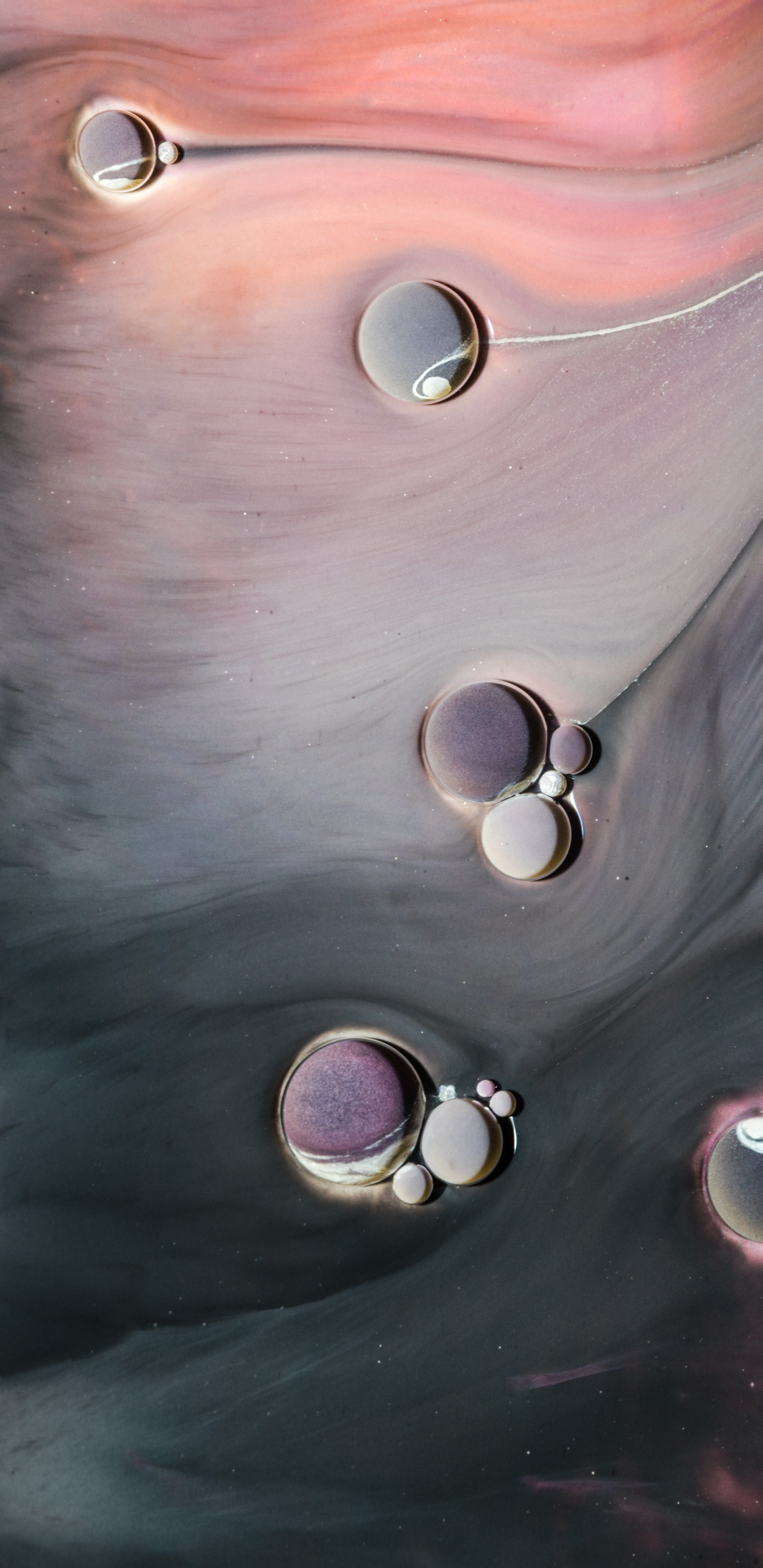 Espuma, Cabello, Cabeza, Barbilla, Mano. Wallpaper in 1440x2960 Resolution