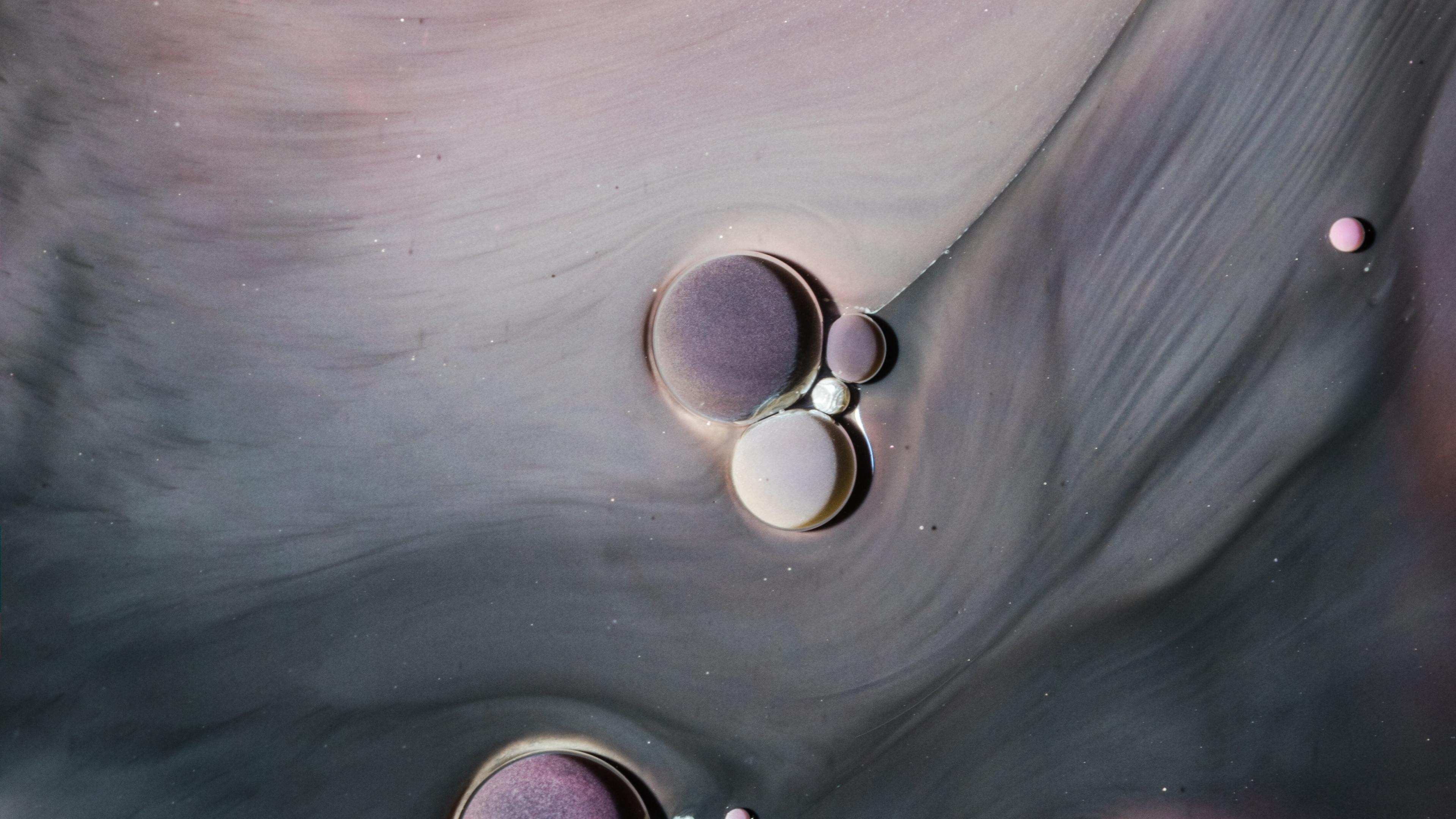 Foam, Liquid, Hair, Head, Lip. Wallpaper in 3840x2160 Resolution