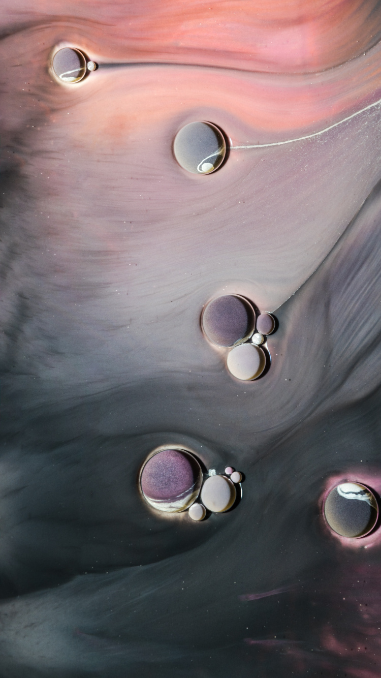 Foam, Liquid, Hair, Head, Lip. Wallpaper in 750x1334 Resolution