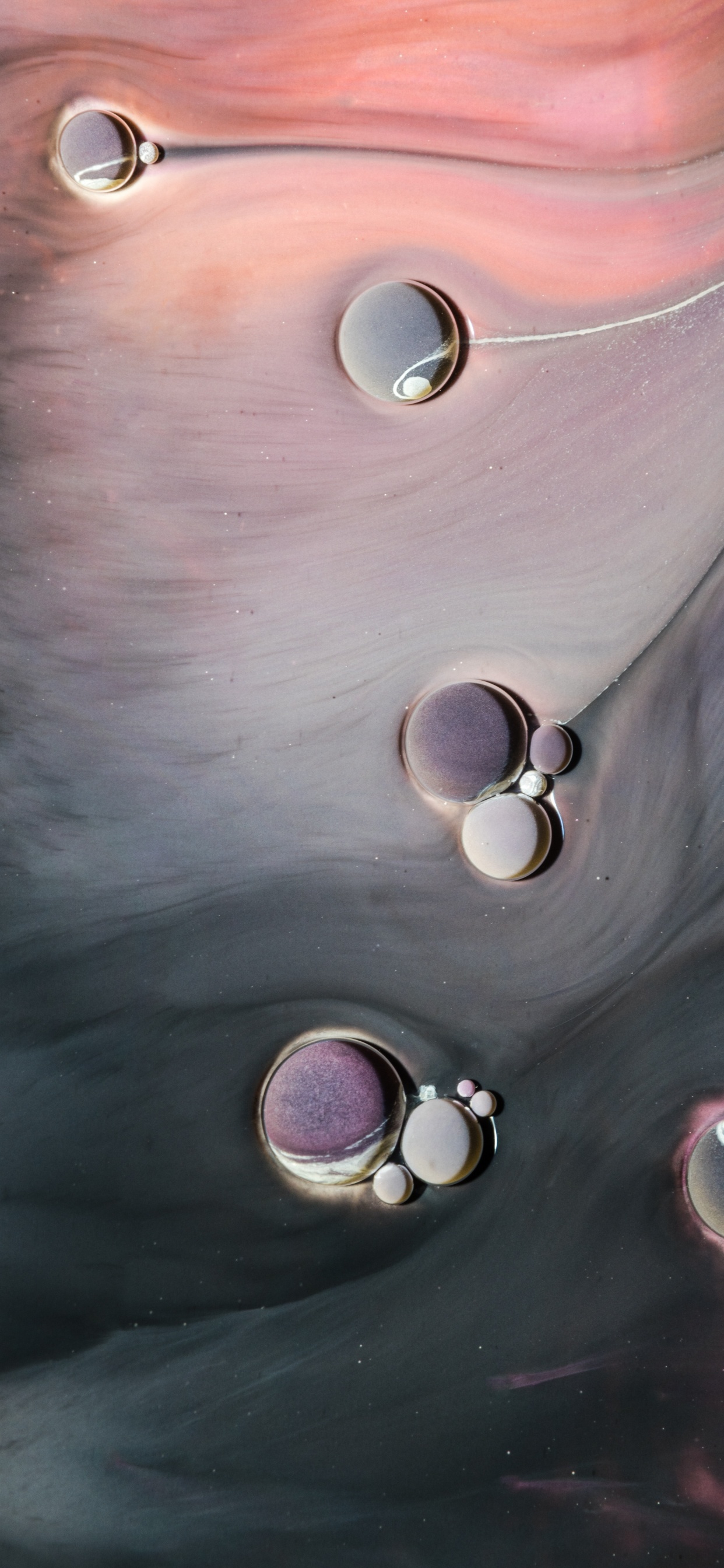 Schaum, Haar, Kopf, Lippe, Kinn. Wallpaper in 1242x2688 Resolution