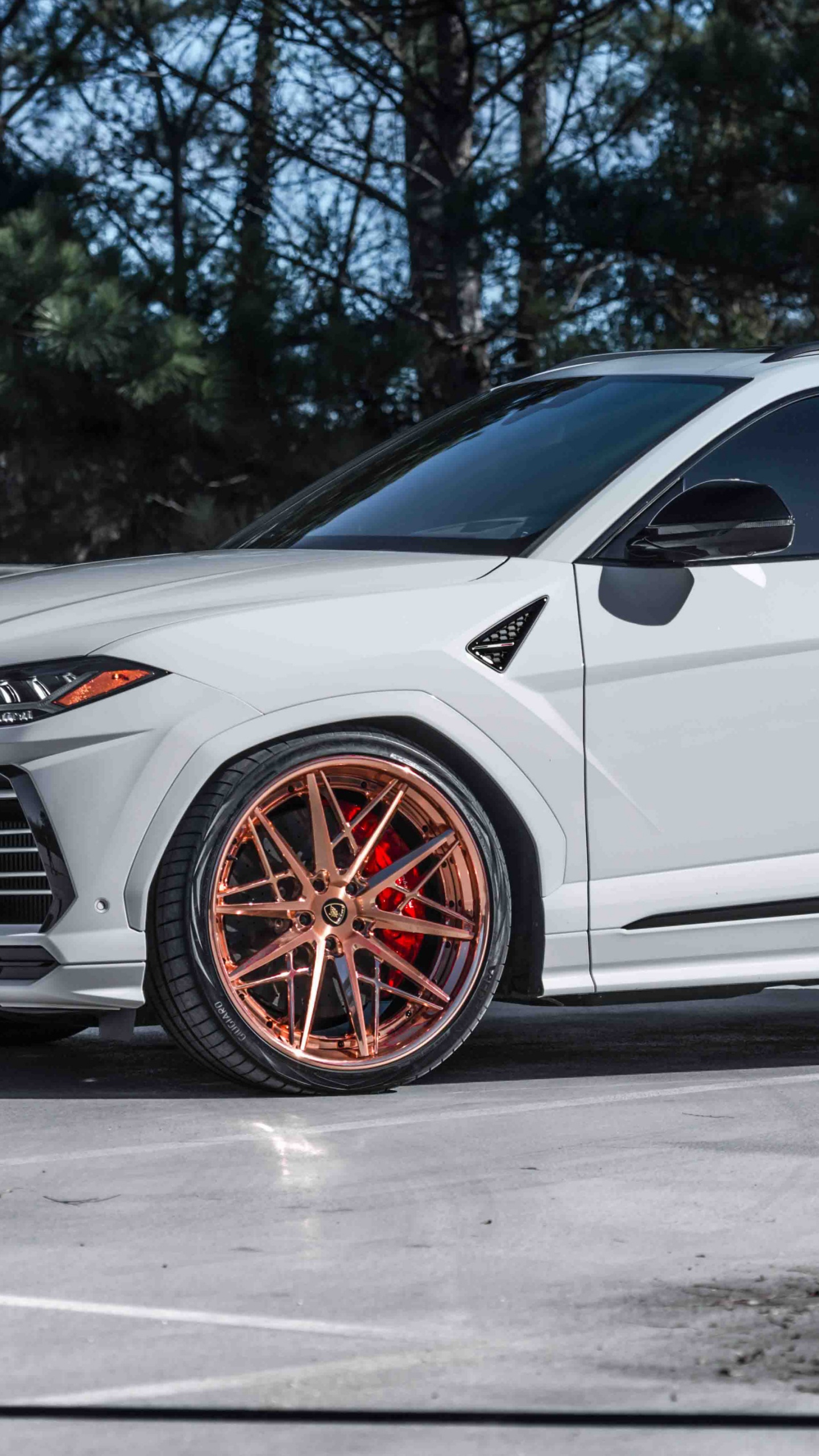 Avantgarde F538, 2019 Lamborghini Urus, Car, 2019 Lamborghini Aventador s, Lamborghini. Wallpaper in 1440x2560 Resolution