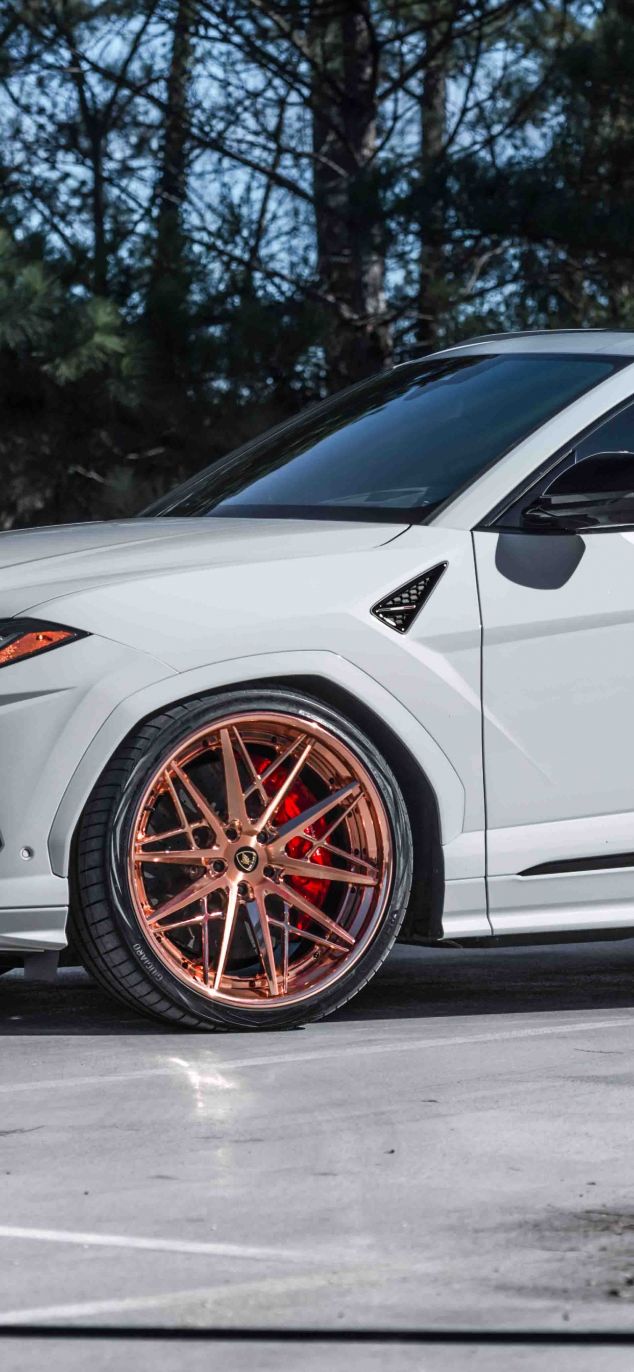 Vanguardia F538, Lamborghini Urus 2019, Coche, 2019 Lamborghini Aventador s, Lamborghini. Wallpaper in 1242x2688 Resolution