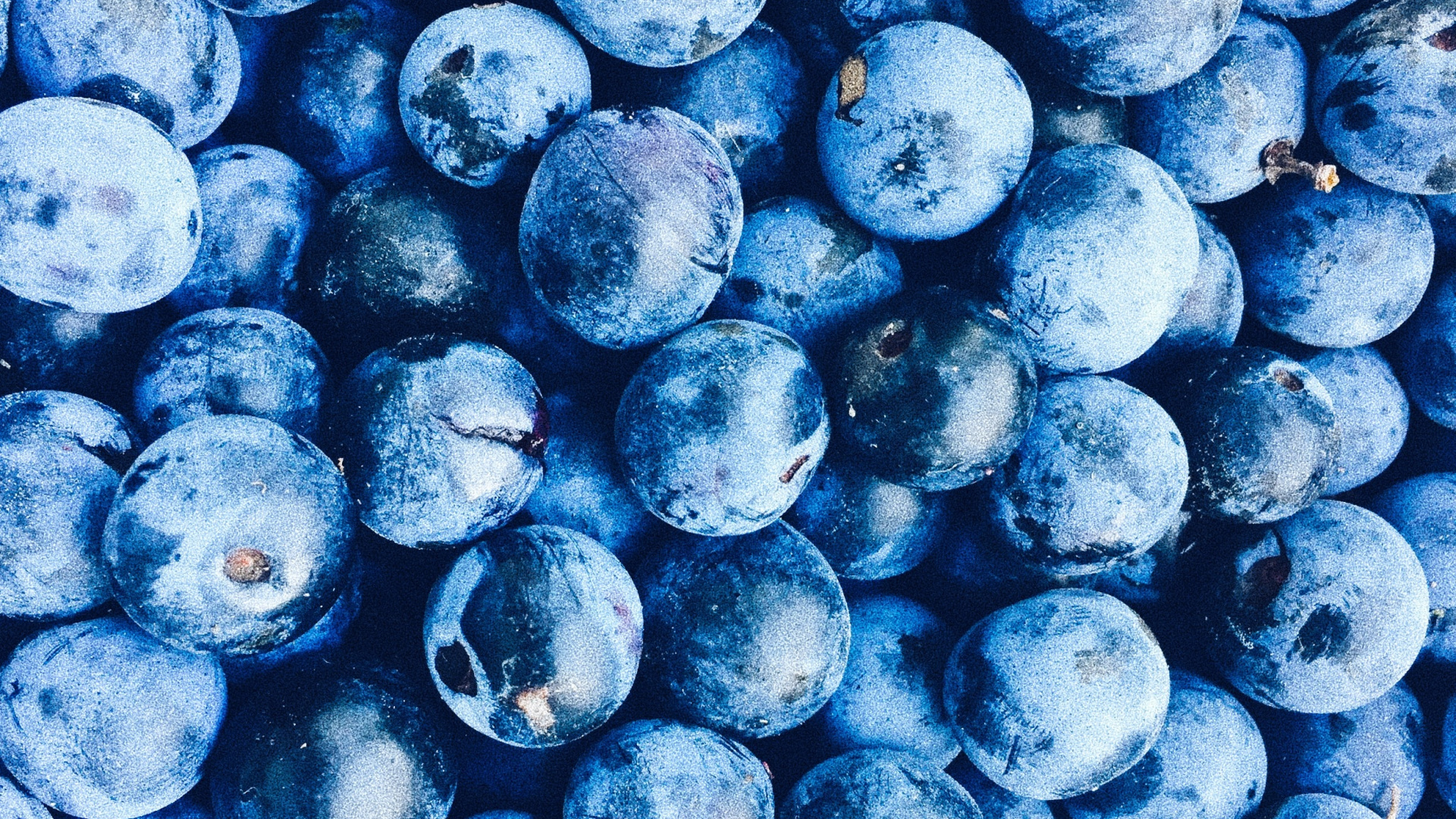 Fruits Ronds Bleus Sur Surface Blanche. Wallpaper in 1920x1080 Resolution