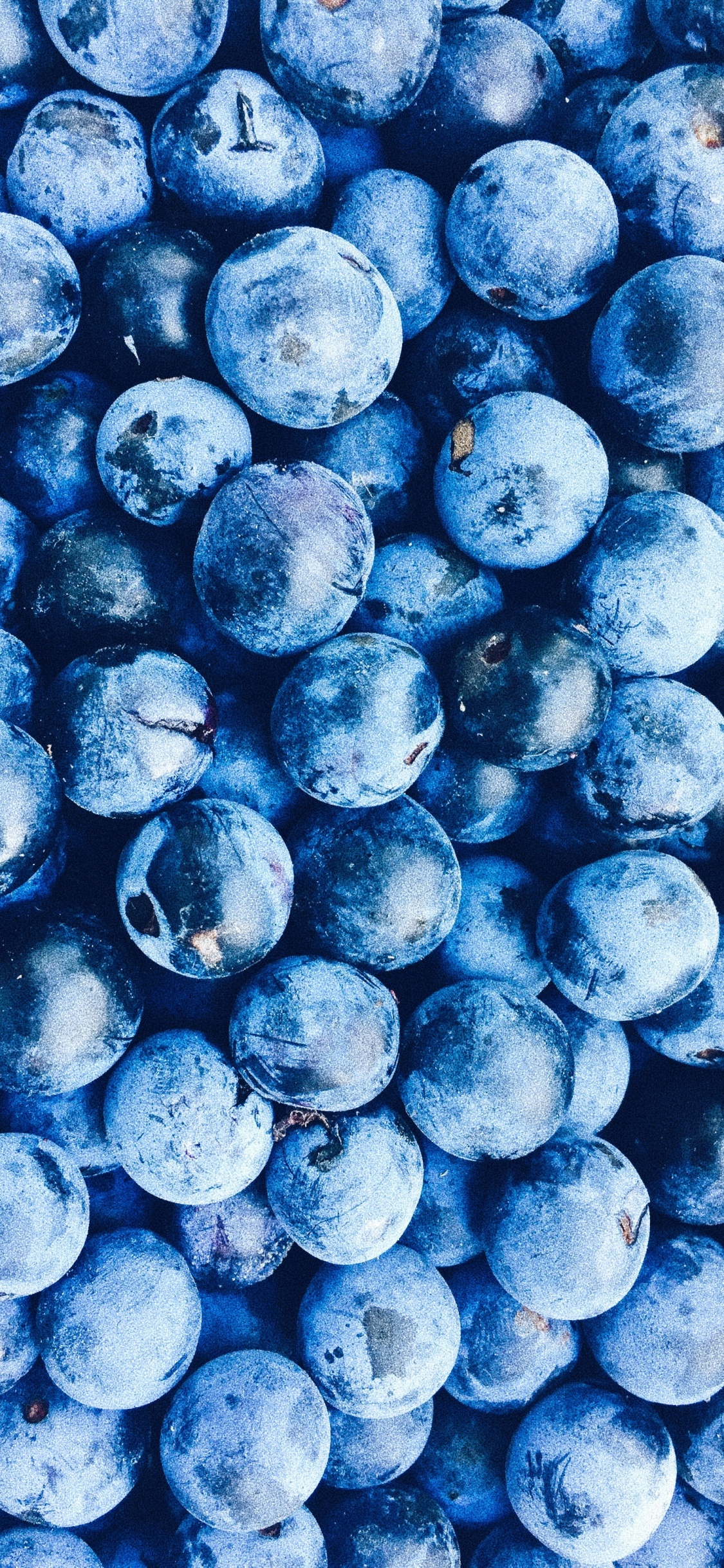 Blue Round Fruits on White Surface. Wallpaper in 1125x2436 Resolution