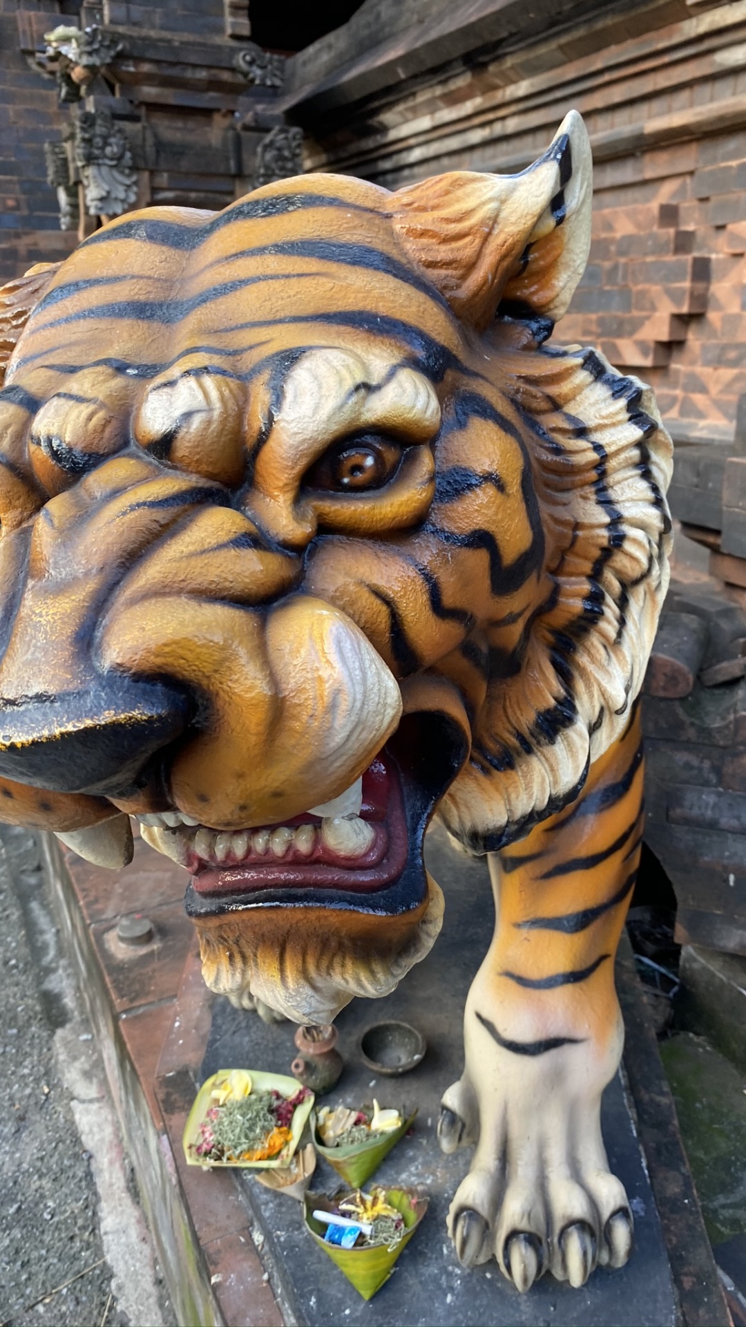 Head, Big Cats, Bengal Tiger, Felidae, Carnivore. Wallpaper in 1080x1920 Resolution