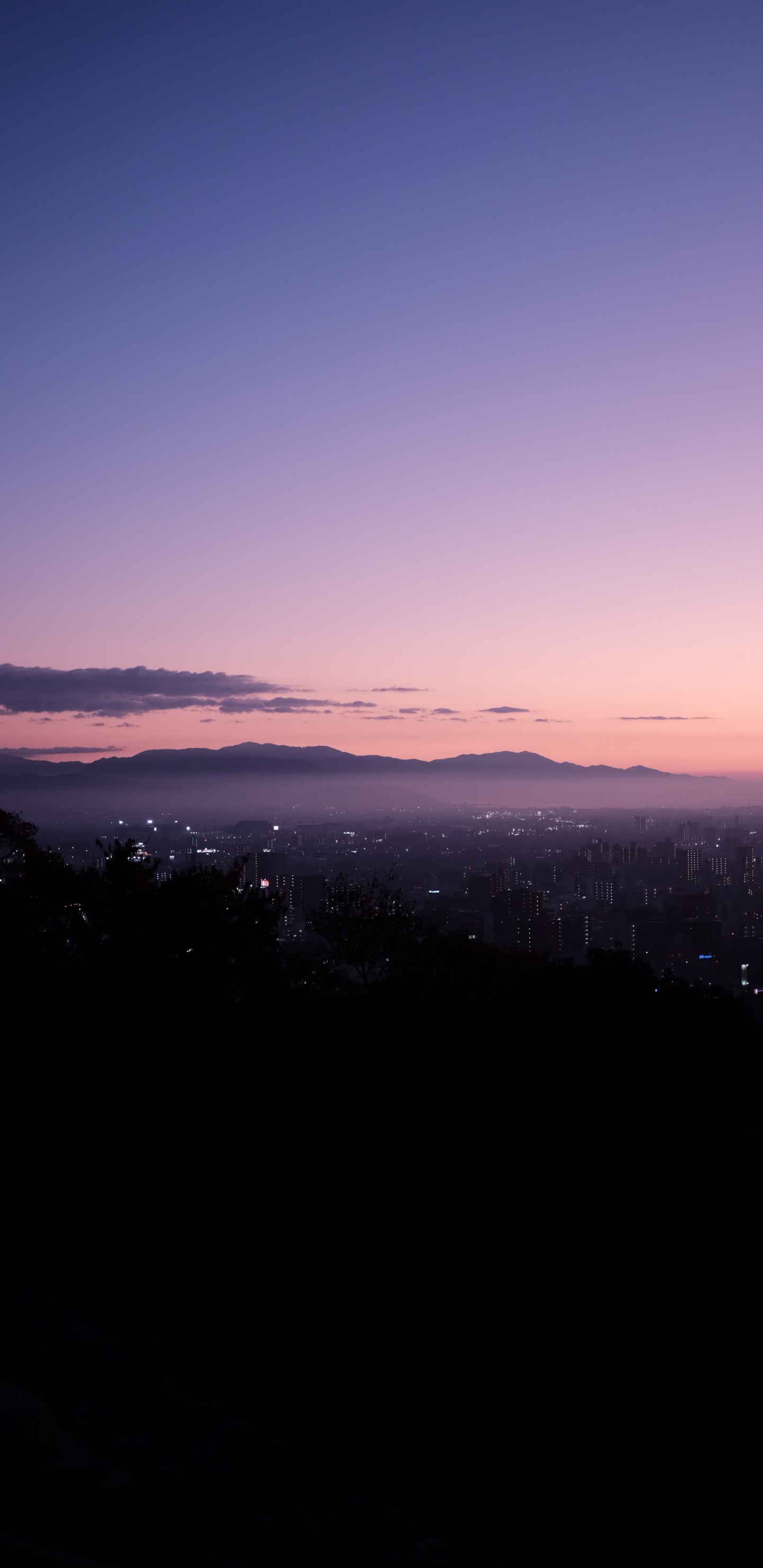 Silhouette of Trees During Sunset. Wallpaper in 1440x2960 Resolution