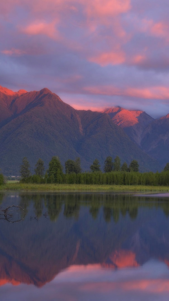 Green Trees Near Lake During Daytime. Wallpaper in 720x1280 Resolution