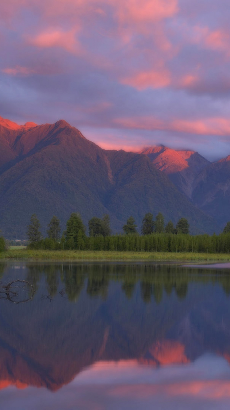 Green Trees Near Lake During Daytime. Wallpaper in 750x1334 Resolution