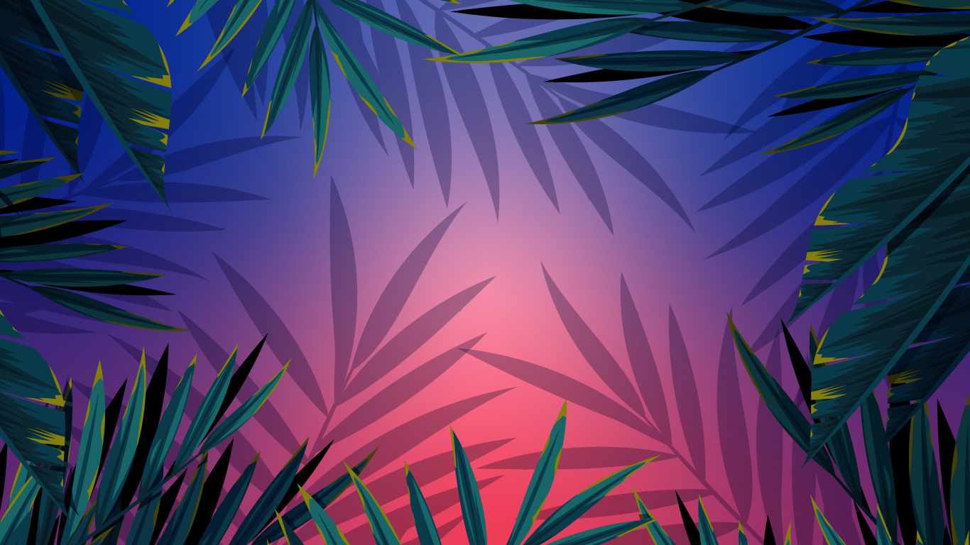 Leaf, Palm Trees, Aesthetics, Plant, Azure. Wallpaper in 1366x768 Resolution