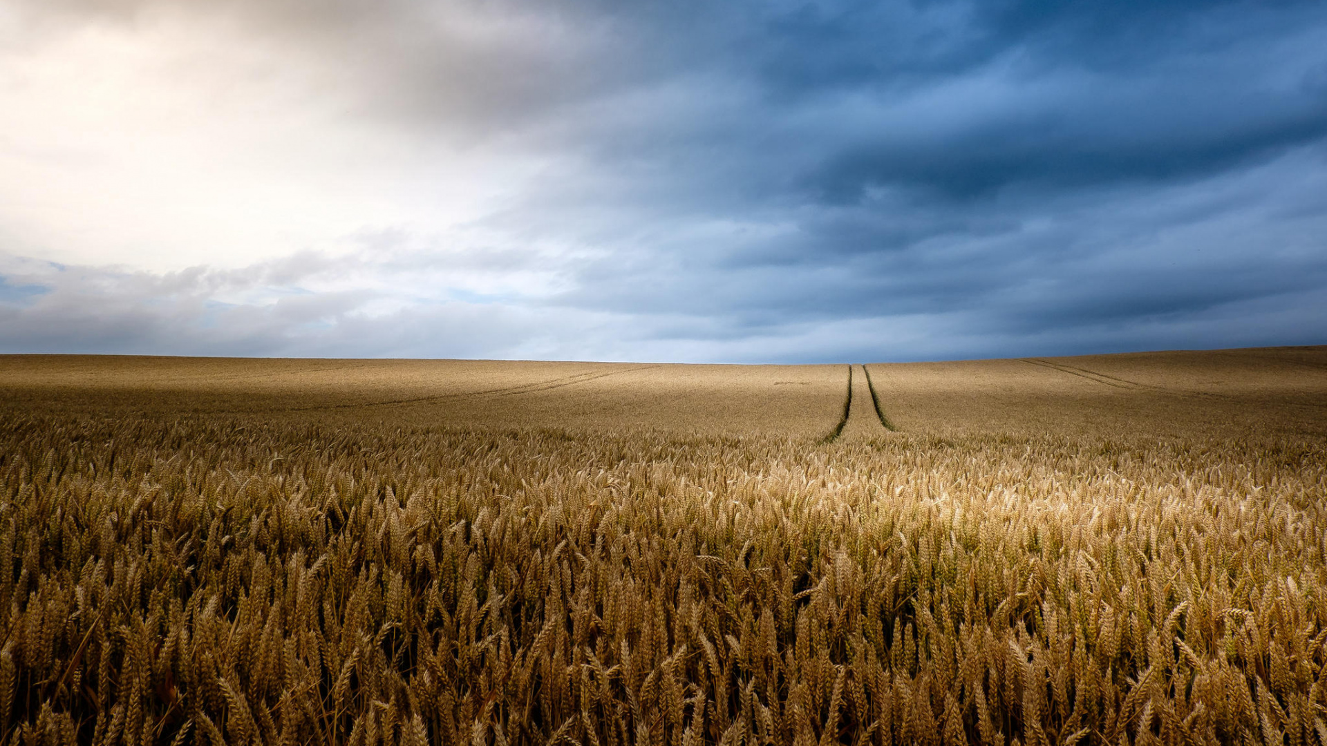 Brown Grass Field Under White Clouds and Blue Sky During Daytime. Wallpaper in 1920x1080 Resolution