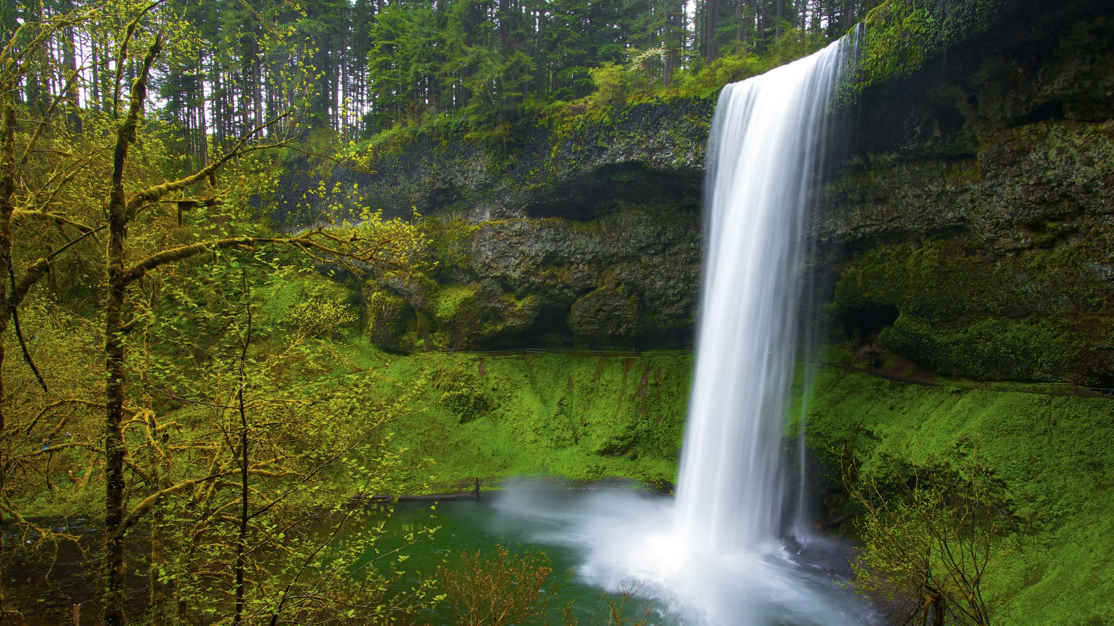 Waterfalls in The Middle of Green Trees. Wallpaper in 3840x2160 Resolution