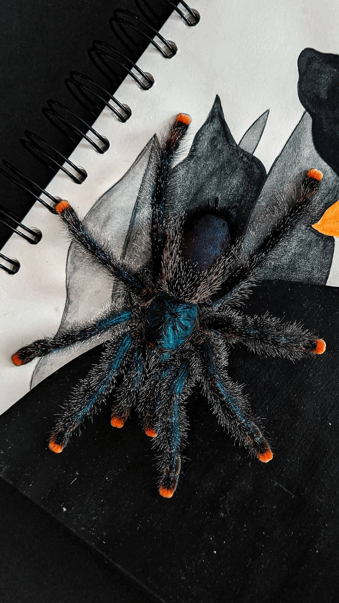 Araignée, Peinture, Cil, Art, Ligne. Wallpaper in 1080x1920 Resolution