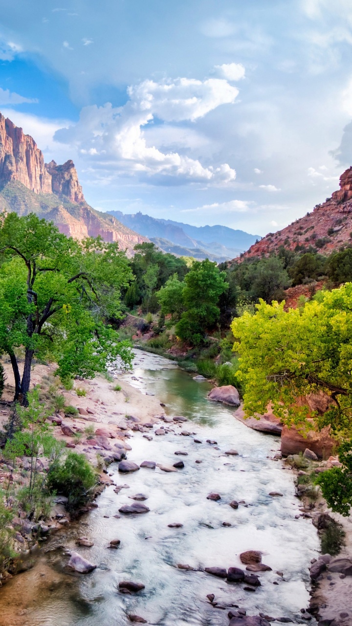 锡安山国家公园, 性质, 多山的地貌, 荒野, 自然保护区 壁纸 720x1280 允许