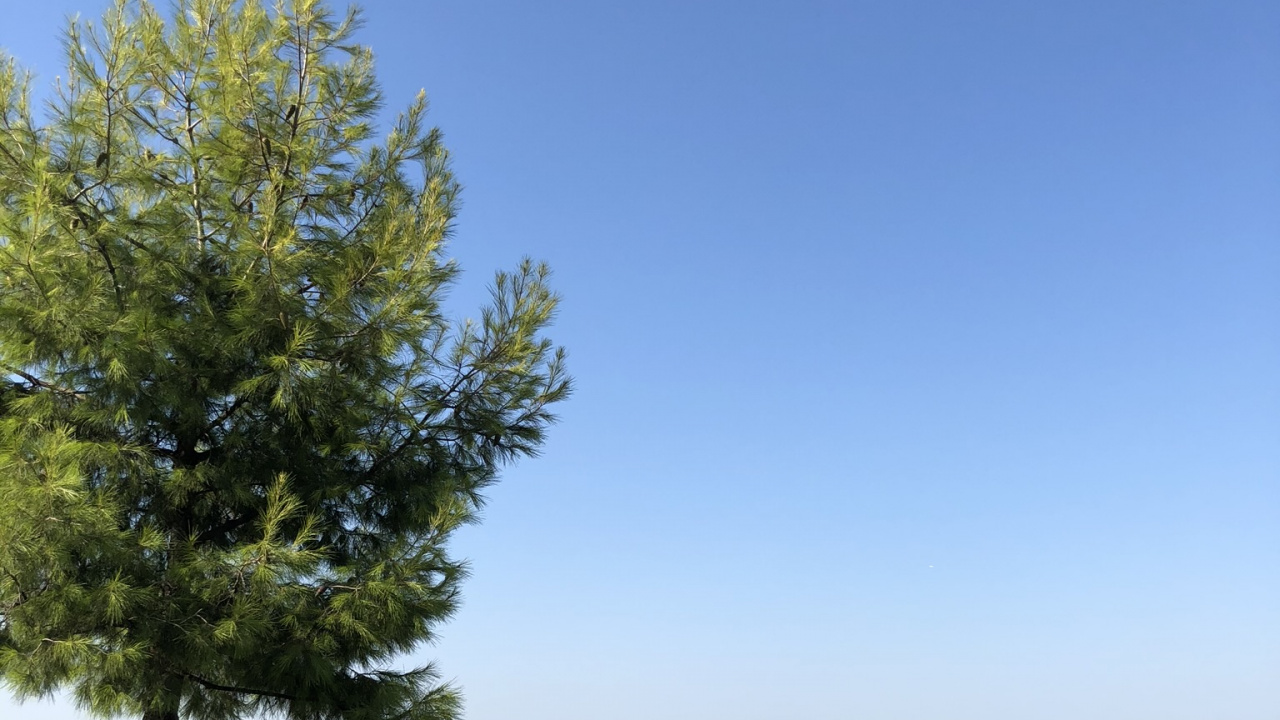 Eau, Banc, Banc D'extérieur, Mobilier D'extérieur, Horizon. Wallpaper in 1280x720 Resolution