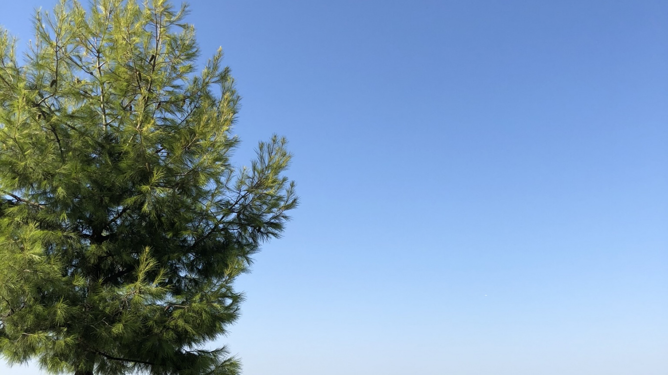 Wasser, Branch, Außenbank, Outdoor-Möbel, Horizont. Wallpaper in 1366x768 Resolution