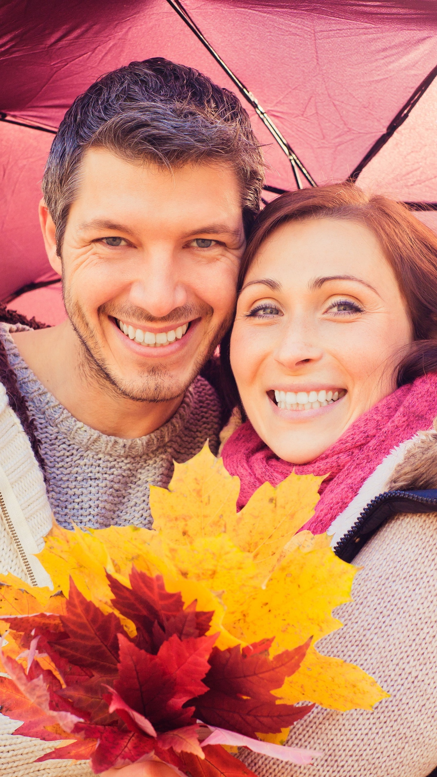 Romanticismo, Amor, Diversión, Amarillo, Rosa. Wallpaper in 1440x2560 Resolution