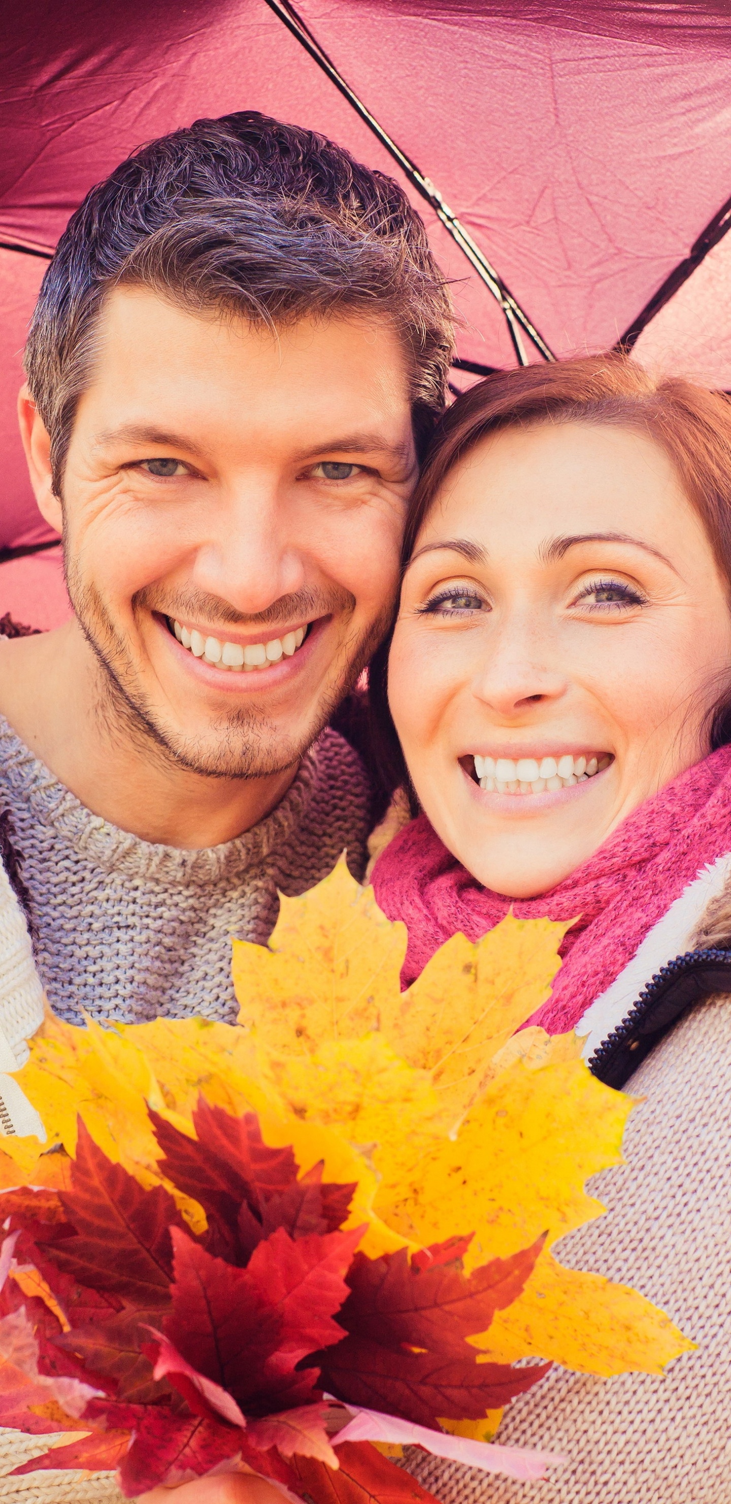 Romanticismo, Amor, Diversión, Amarillo, Rosa. Wallpaper in 1440x2960 Resolution