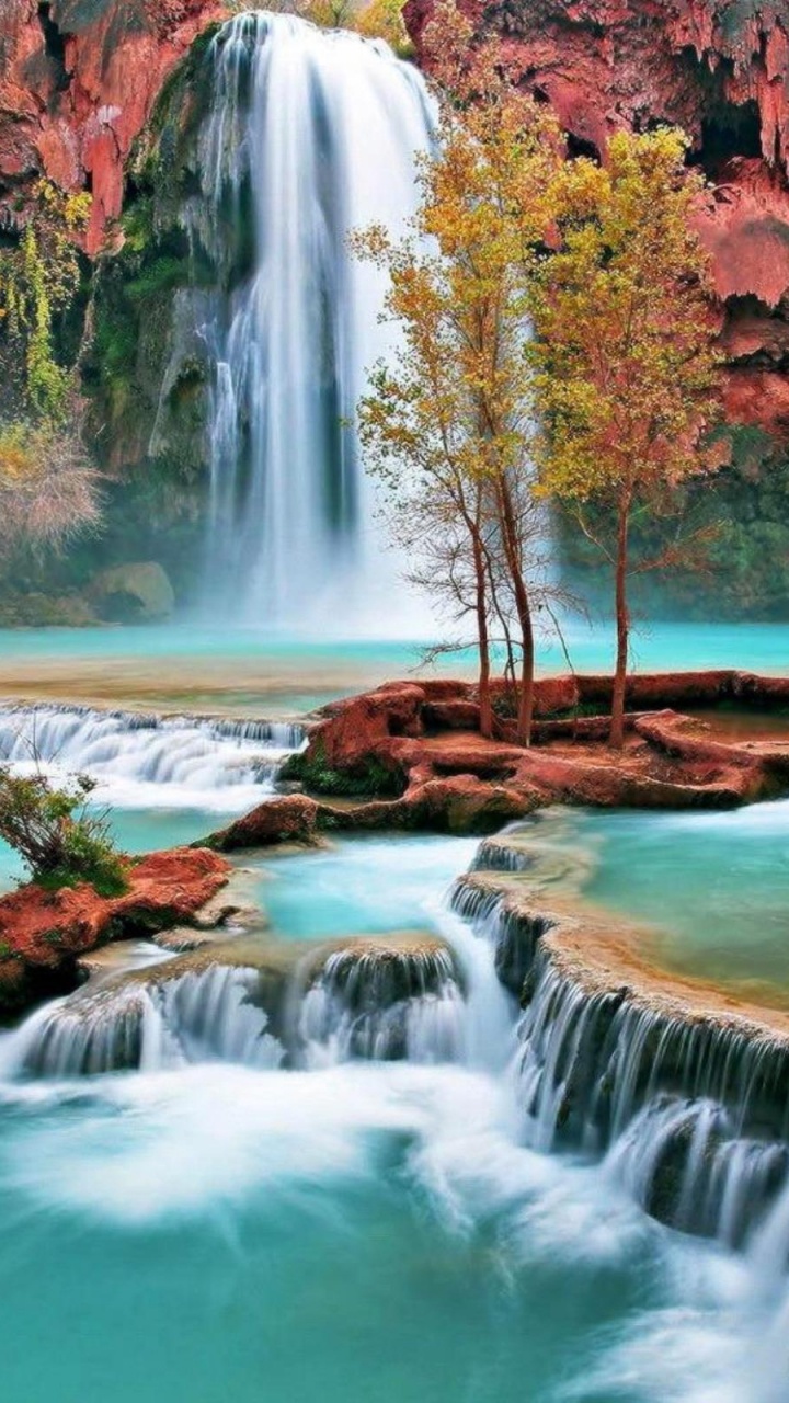Cascadas en Medio Del Bosque. Wallpaper in 720x1280 Resolution