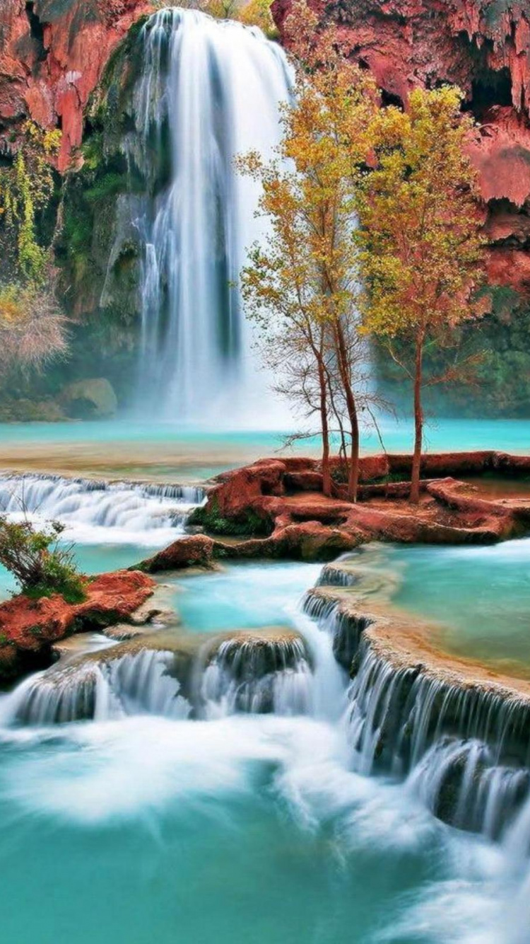 Waterfalls in The Middle of The Forest. Wallpaper in 750x1334 Resolution