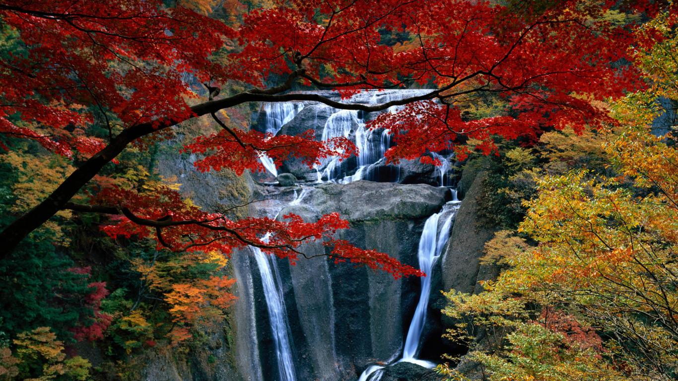el Agua Cae en Medio Del Bosque. Wallpaper in 1366x768 Resolution