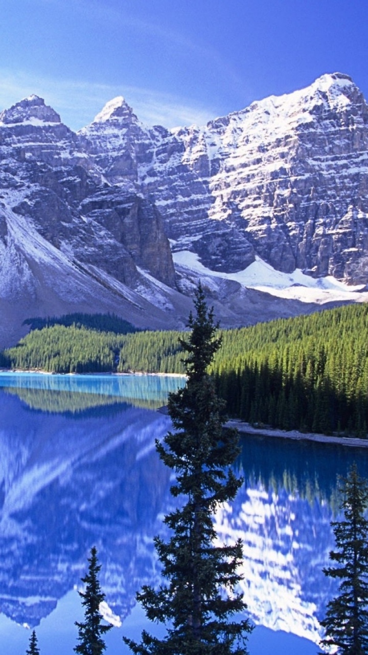 Green Pine Trees Near Snow Covered Mountain During Daytime. Wallpaper in 720x1280 Resolution