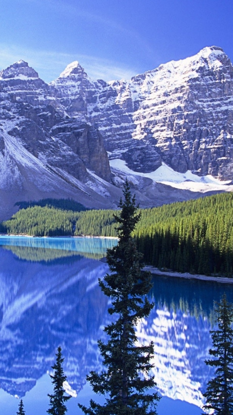 Grüne Kiefern in Der Nähe Von Schneebedeckten Bergen Tagsüber During. Wallpaper in 750x1334 Resolution