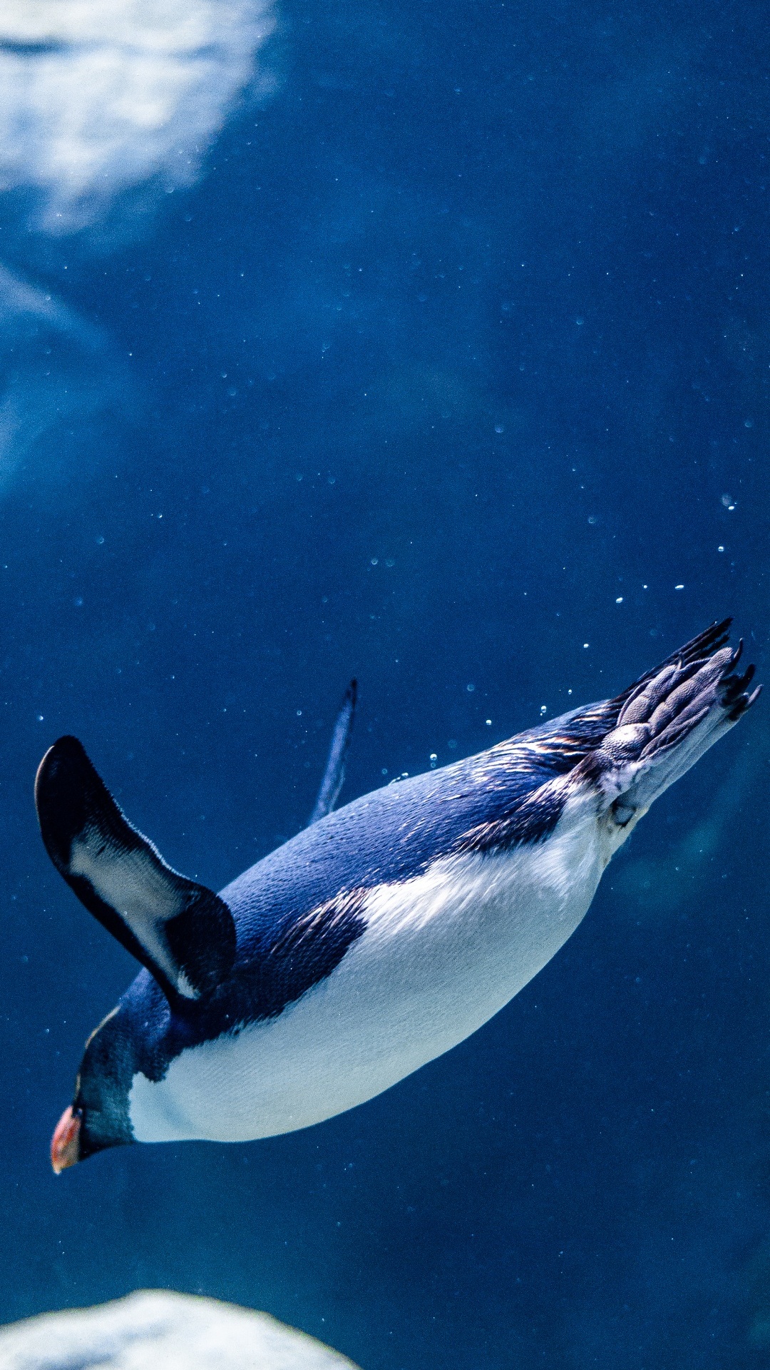 Eau, Tampon de Données, Cache, Permanent, Linux. Wallpaper in 1080x1920 Resolution