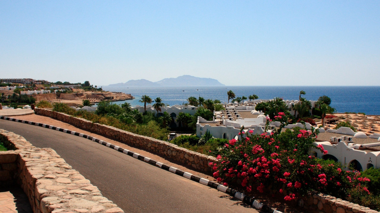 Flores Rojas Cerca Del Cuerpo de Agua Durante el Día.. Wallpaper in 1280x720 Resolution