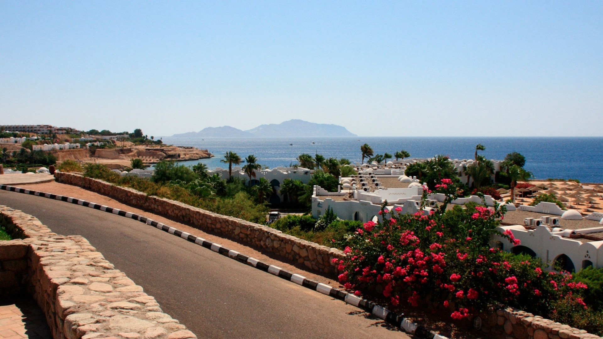 Flores Rojas Cerca Del Cuerpo de Agua Durante el Día.. Wallpaper in 1920x1080 Resolution