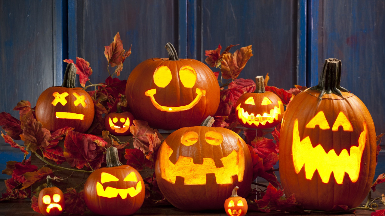 Fondos de Pantalla Calabaza, Talla, Calabaza de Invierno, Cucurbita
