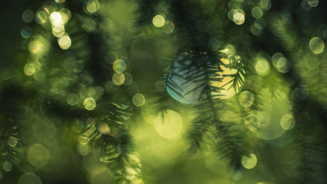 Green and Blue Light Bokeh. Wallpaper in 1366x768 Resolution