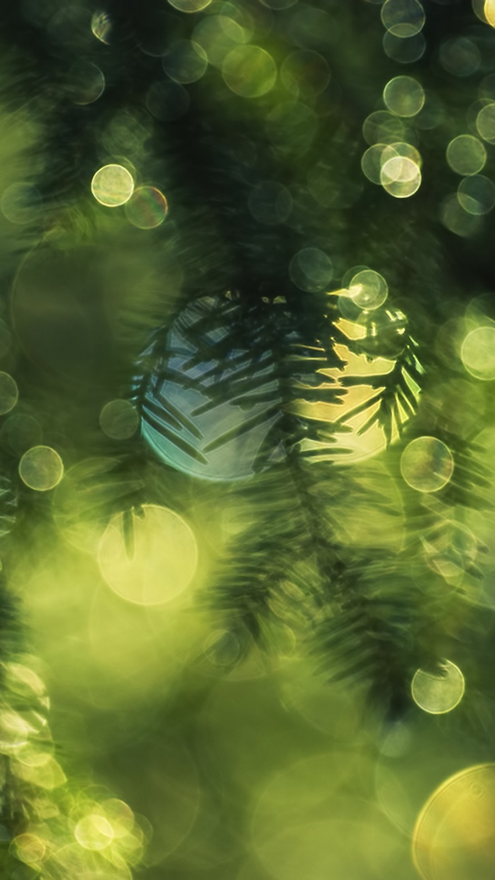 Bokeh de Luz Verde y Azul. Wallpaper in 720x1280 Resolution