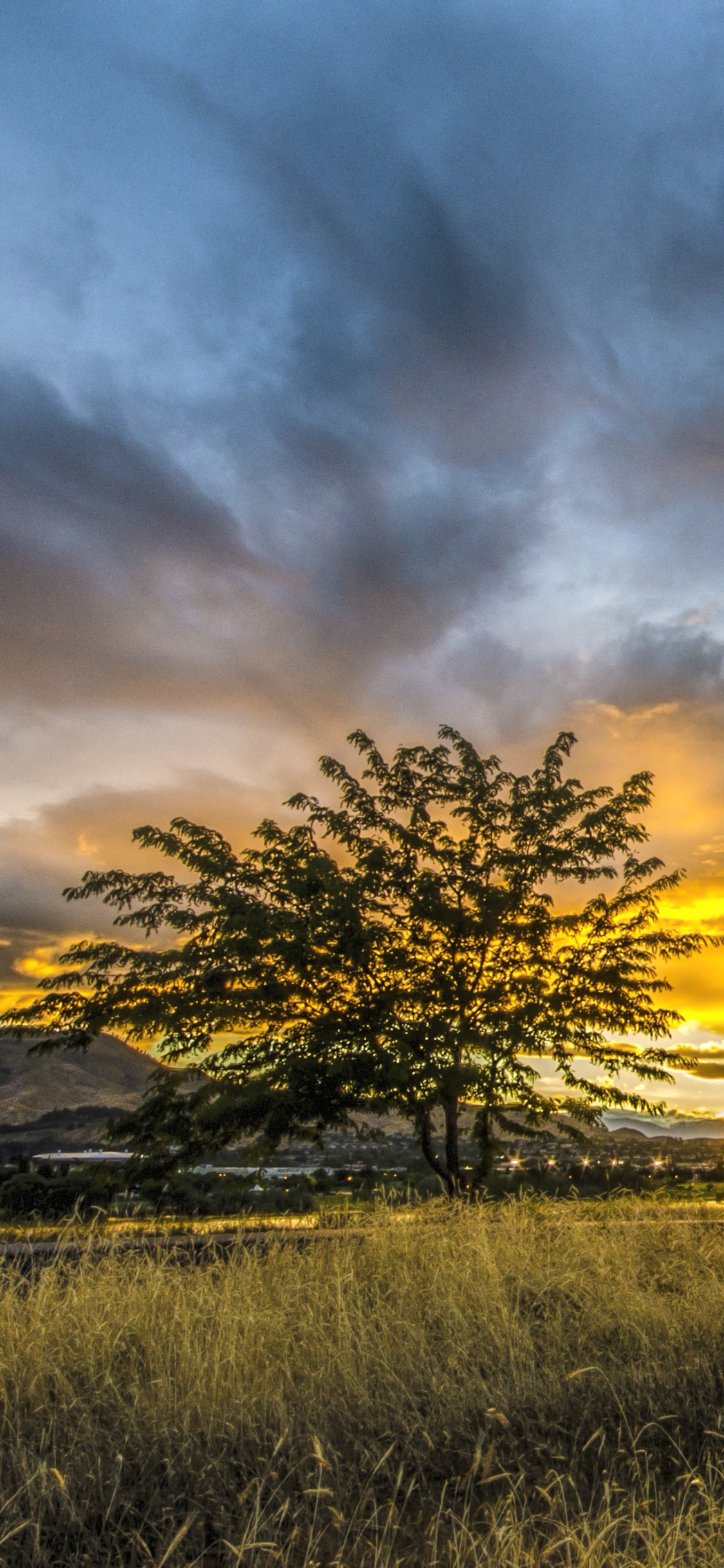 Champ D'herbe Verte Sous un Ciel Nuageux Pendant le Coucher du Soleil. Wallpaper in 1125x2436 Resolution