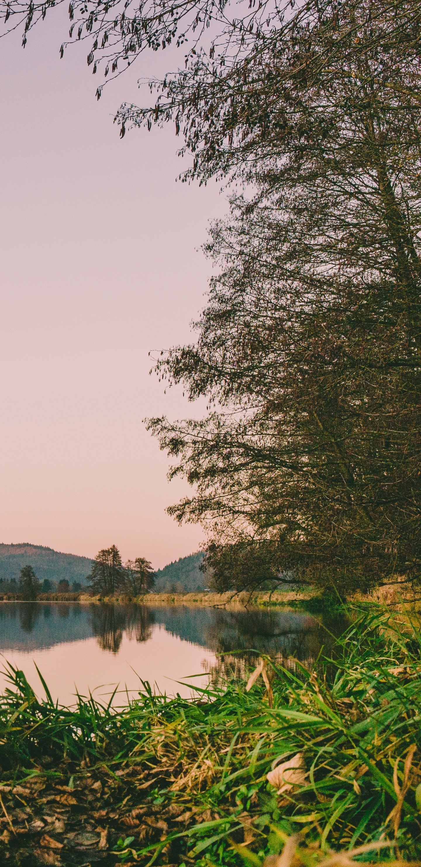 Corps de L'eau, Paysage Naturel, Nature, Réflexion, Eau. Wallpaper in 1440x2960 Resolution