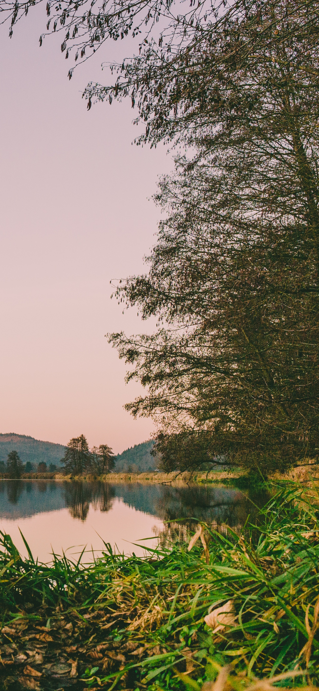 Gewässer, Naturlandschaft, Natur, Reflexion, Wasser. Wallpaper in 1242x2688 Resolution
