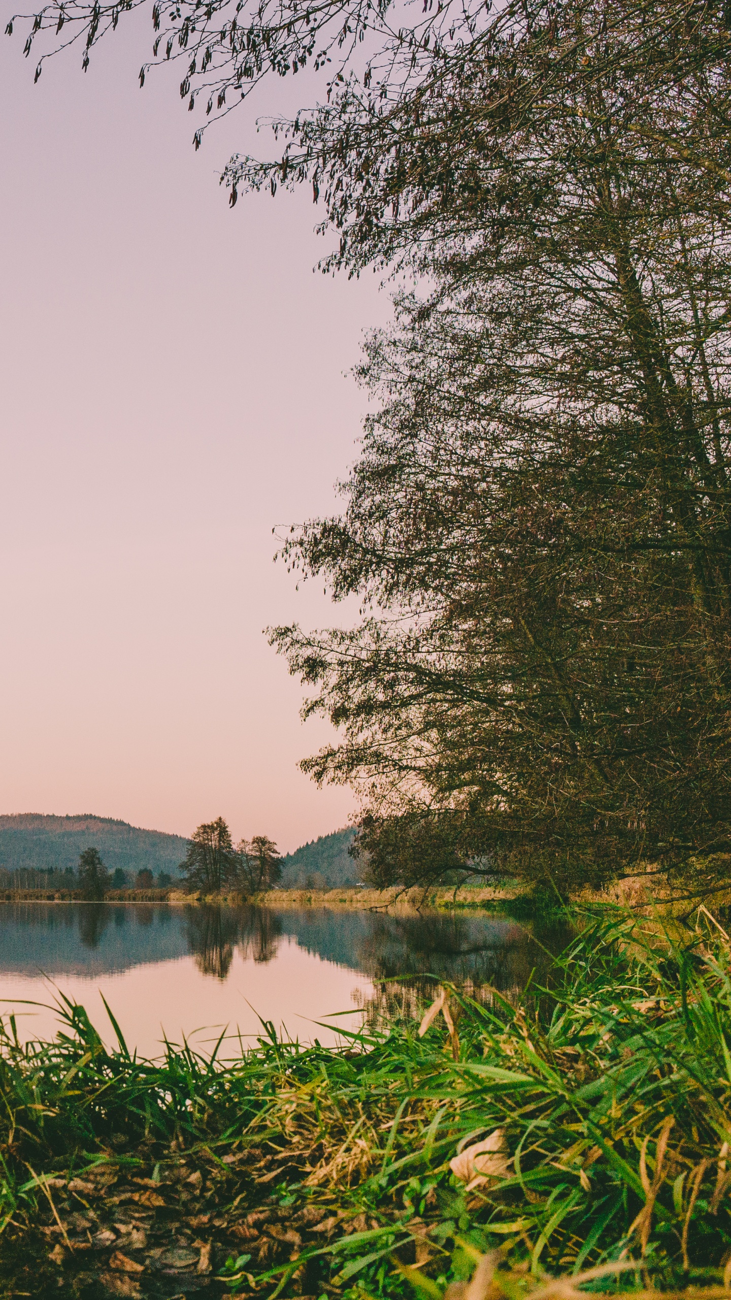 Gewässer, Naturlandschaft, Natur, Reflexion, Wasser. Wallpaper in 1440x2560 Resolution