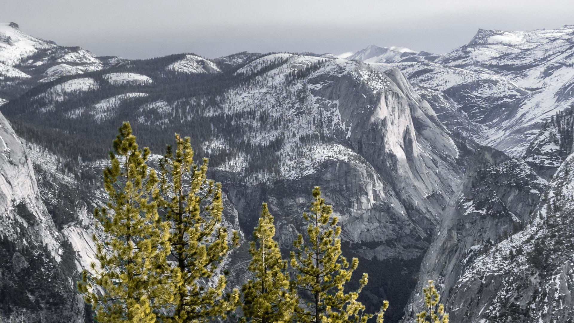 Nieve, Montaña, Pendiente, Highland, Alerce. Wallpaper in 1920x1080 Resolution