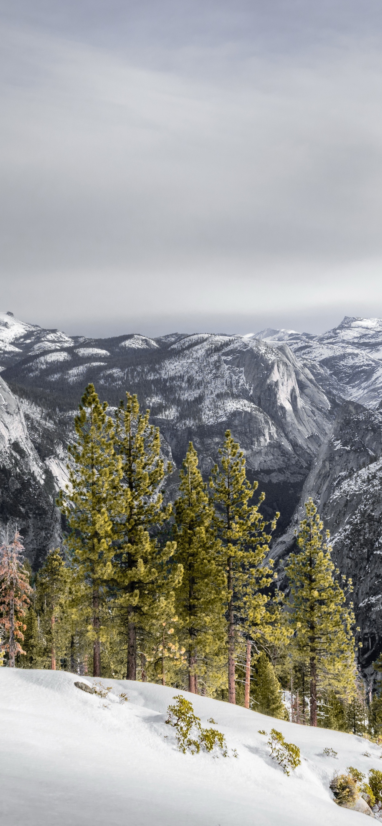 Snow, Cloud, Mountain, Plant, Slope. Wallpaper in 1242x2688 Resolution