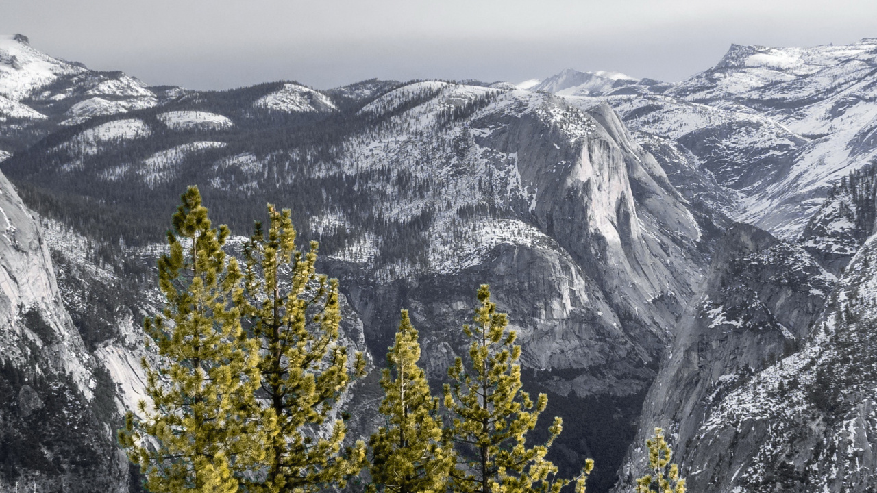 Snow, Cloud, Mountain, Plant, Slope. Wallpaper in 1280x720 Resolution