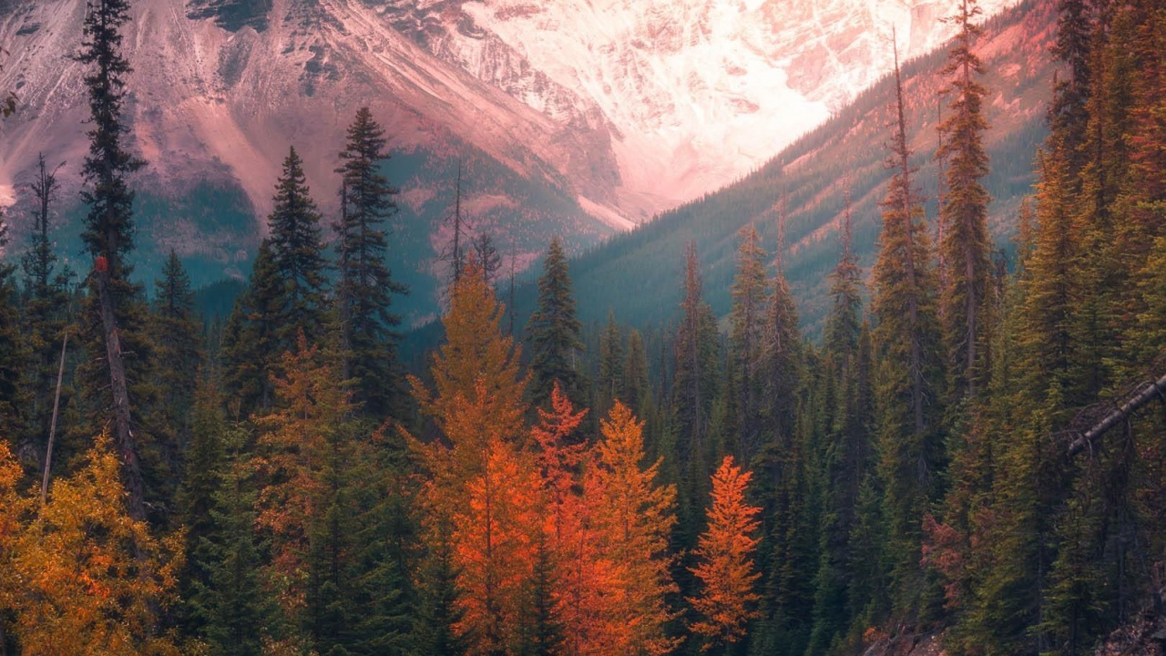 Naturaleza, Arte, Dibujo, Puesta, de Colores. Wallpaper in 1280x720 Resolution