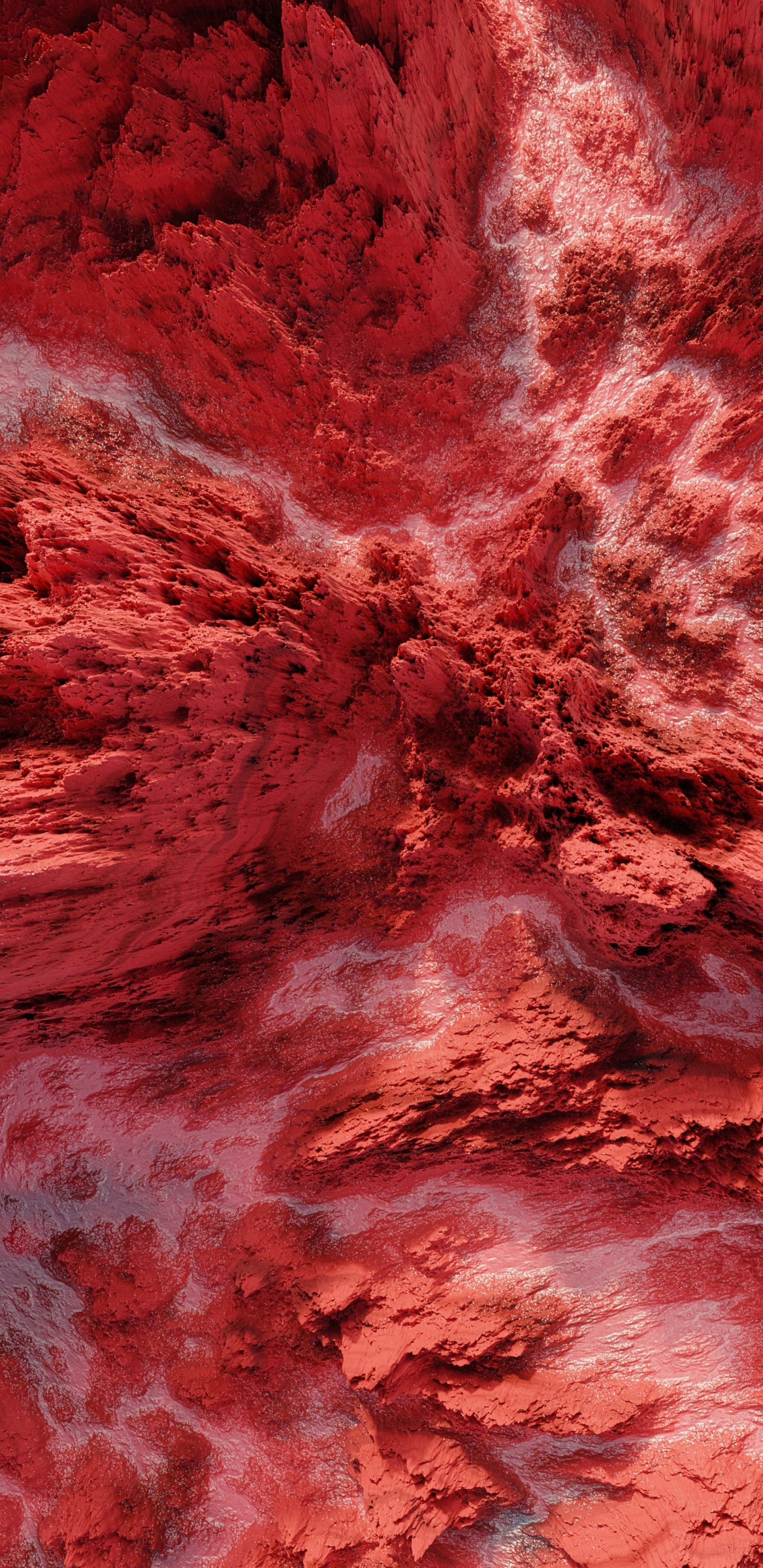 Erde, Wasser, Pink, Holz, Magenta. Wallpaper in 1440x2960 Resolution