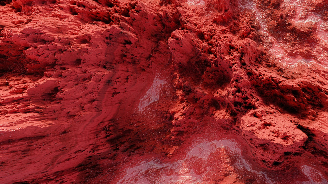 Tierra, Agua, Rosa, Madera, Magenta. Wallpaper in 1366x768 Resolution