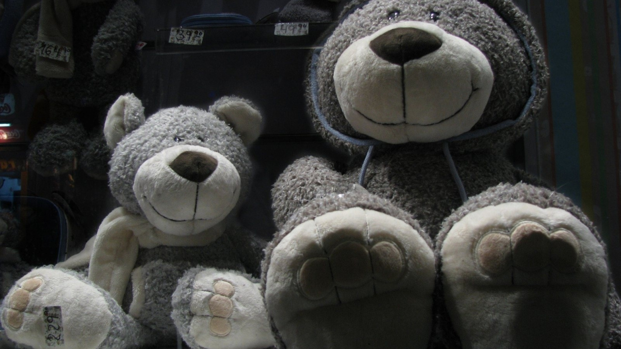 Muñeco de Peluche Oso Pardo y Blanco. Wallpaper in 1280x720 Resolution