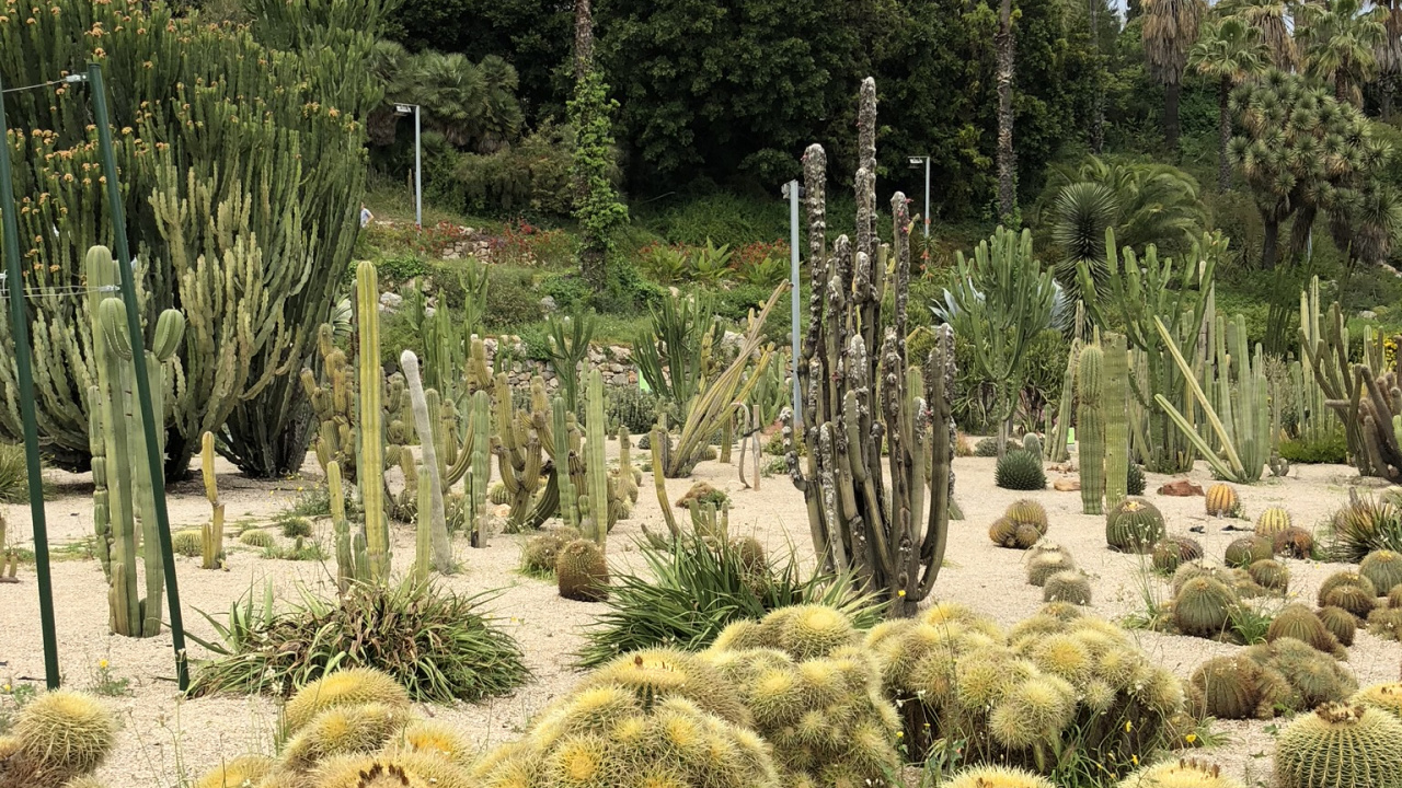 la Vegetación, Arbustos, Bioma, el Jardín Botánico De, la Comunidad Vegetal. Wallpaper in 1280x720 Resolution